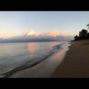 Meet your Posher, Cora